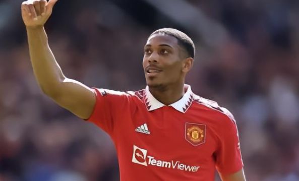 这种期待不 这种期待不